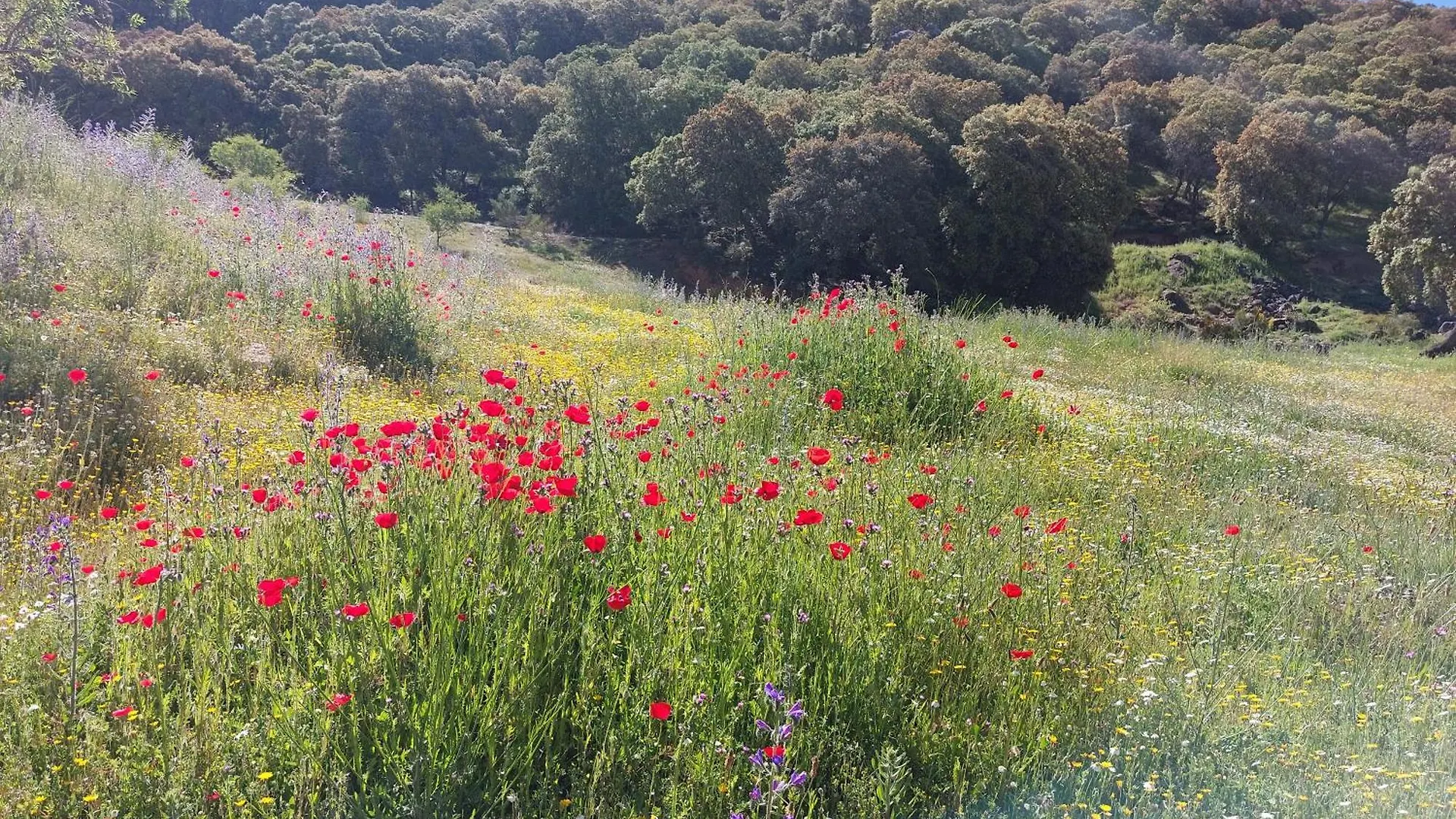 בית נופש הוילה מונטפריו Casa Montana Rustica With Beautiful Views