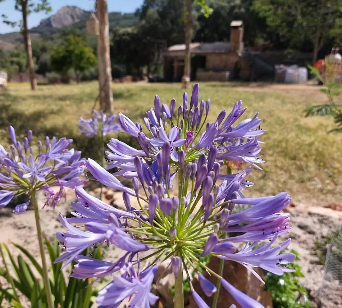 הוילה מונטפריו Casa Montana Rustica With Beautiful Views